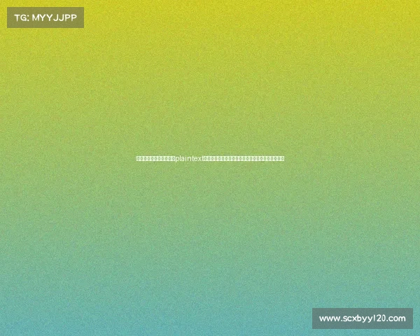什么游戏是电子竞技比赛plaintext解码电子竞技：从热门作品窥见正统电竞的核心特质
